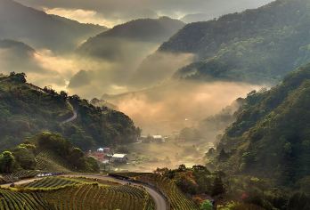 台湾观光巴士{观光局主导}～坪林千岛湖半日游[拼车2人成行}【远离城市的喧嚣，让自己沉浸在茶香和大自然芬多精中，使烦恼与焦躁烟消云散。】
