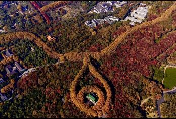 南京总统府+中华门+美龄宫+梧桐大道+中山陵+夫子庙一日活动【[精选景点]封顶 18 人精品团，钟山风景区重要景点一网打尽，打卡网红梧桐大道，总统府寻金陵故事！】