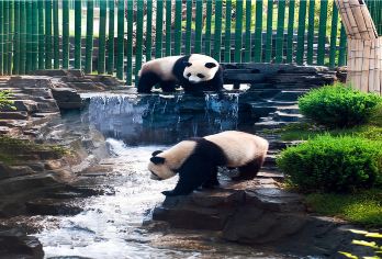 大连森林动物园+棒棰岛一日游【私家独立团|6人团|时间自由】【[家庭独立团]精致小团出游，私家独立团|MINI2-6人团】