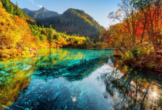 九寨沟直通车【商务车送站 九寨沟-黄龙九寨站 沟口酒店上门】【[品质保证]九寨沟沟口酒店上门接无需拖着行李到上车点，送至黄龙九寨高铁站散团。】