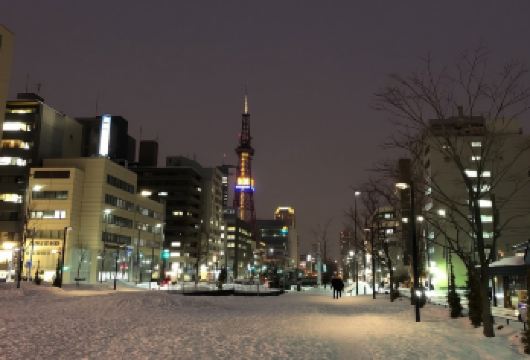 日本札幌北海道大学-北海道神宫-札幌电视塔【北海道中文专车】【中文专车出行，景点灵活调整，打卡经典，游玩自己定义，无需等待，专属贴心服务，尽享惬意旅程】