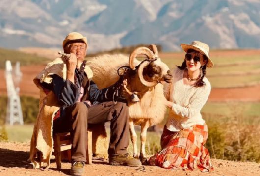 昆明东川红土地包车一日游：含往返高速+三环内接送+纯玩私家团【[实力保障]昆明一日游集团品质严选线路，拥有自己的车队、司机，全程品质把控，专业一手资源】