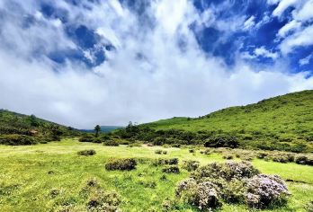 四川攀枝花格萨拉生态旅游区+箐河瀑布一日游【2人起订小包团】【上门接送、纯玩无购物、自然景观】