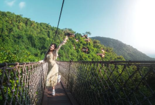 三亚亚龙湾热带森林公园+亚龙湾沙滩一日游【门票游览车+接送】【[全区域接送]三亚市区、三亚湾、大东海均可接送】