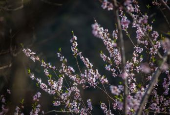 【旅小皖/私家团】皖西大裂谷、明清老街一日游【[优选资源]本地社+本地司/导+本地用车，本地土著带你玩转精华景点。】