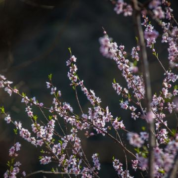 【旅小皖/私家团】皖西大裂谷、明清老街一日游