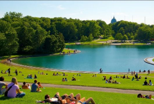 蒙特利尔皇家山公园+蒙特利尔老城+旧港区游览【精品包车，私享空间，上门接送，轻松出行】