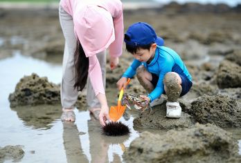 南澳岛出海捕鱼体验【赶海 夜捕鱿鱼 包船捕鱼 快艇海钓】【户外项目丨活动都是野外 尽力帮客人收获 但收获多寡无法保证 不建议许愿 △有空军风险哦~】