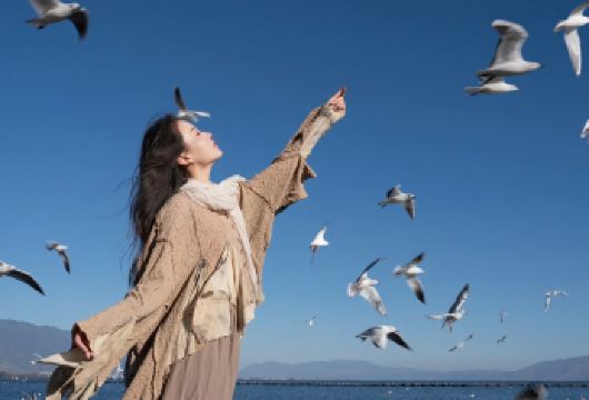 西山龙门+滇池+云南民族村包车一日游：含门票+三环内接送【[实力保障]昆明一日游集团品质严选线路，拥有自己的车队、司机，全程品质把控，专业一手资源】