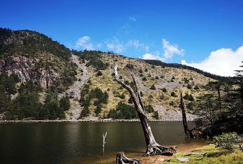 西昌螺髻山一日游【特卖季+上门接送+往返索道+观光车】【全称无自费无购物无自费】