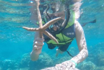 三亚醉美太阳湾·浮潜精品套票·唯美太阳湾就在深呼吸嗨玩一整天【[纯玩无购物]游玩灵活，专注体验风景玩乐，轻松享受纯粹游玩】