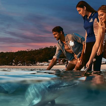 澳洲暑季圣地布里斯班 摩顿岛可选喂海豚/浮潜/滑沙观鲸一日游