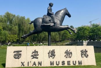 西安博物院半日深度讲解游【[成团保障]下单后丝滑出票。旺季30人，淡季20人小团。】