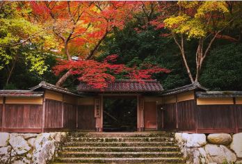 日本大阪-黑门市场-通天阁-心斋桥-道顿堀-经典经典+购物【专业行程定制，精选热门景点，高效游玩不走回头路，贴心服务保障，轻松】