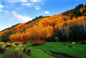 天山天池+达坂城古镇景区一日游【精品包车游，纯玩无购物】【[专车接送]专车无忧往返接送】