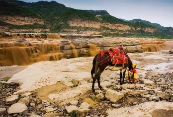 延安黄河壶口瀑布+南泥湾+北京知青旧居+黄土高坡观景台一日游【[行程包含景点]壶口瀑布、南泥湾、北京知青旧居、黄土高坡观景台】