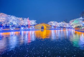 无锡市鼋头渚+拈花湾+三国城+灵山大佛【多景点可选】【赏樱花 深度人文游 商务接待 亲子时光】