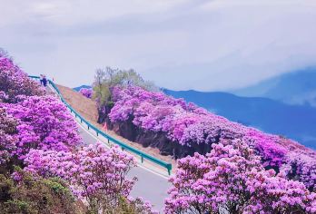 会理白云宫+龙肘山一日游【2人起订独立小包团】【上门接送-边走边玩-时间自由】