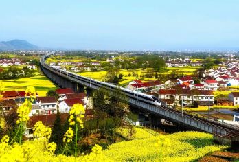 汉中新集高铁穿梭油菜花海+大佛洞+天师堂+汉博【2-6人团】【1.[2-6人小团]严选安全舒适车辆，当地老司机保驾护航，旅途更舒适，享受自在美好旅行。】