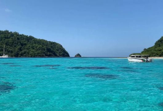 泰国甲米洛克岛哈岛|双岛联玩|潜水天堂|上门接送|午餐|导游【体验洛克岛周围优质的浮潜地点】