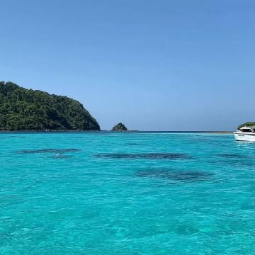 泰国甲米洛克岛哈岛|双岛联玩|潜水天堂|上门接送|午餐|导游