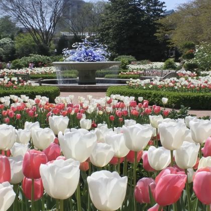 美国亚特兰大+亚特兰大植物园-可定制【中文专车-舒适纯净】