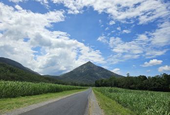 凯恩斯迪纳鲁湖+鸭嘴兽夜游【中文司导+市区多站点免费接送】【[日游推荐]多班期发团，凯恩斯市区多站点免费接送！下午出发，纯玩无购物，性价比之选！】