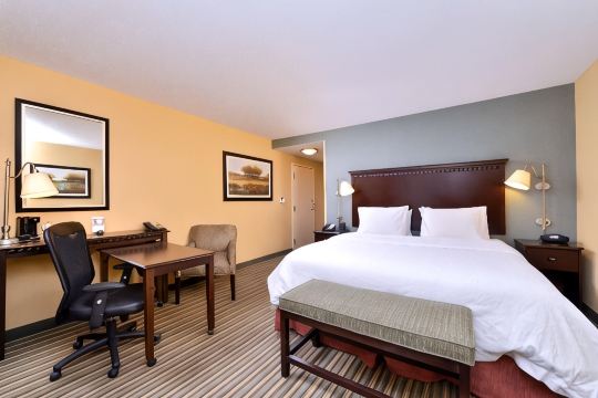 弗农山贝尔沃-亚历山大南区欢朋套房酒店-官方