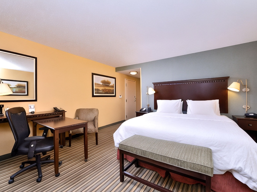 亚历山德里亚酒店住宿-Hampton Inn & Suites By Hilton Fort Belvoir Alexandria South