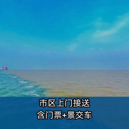 黄河口生态旅游区一日游【市区上门接+景交车+门票】