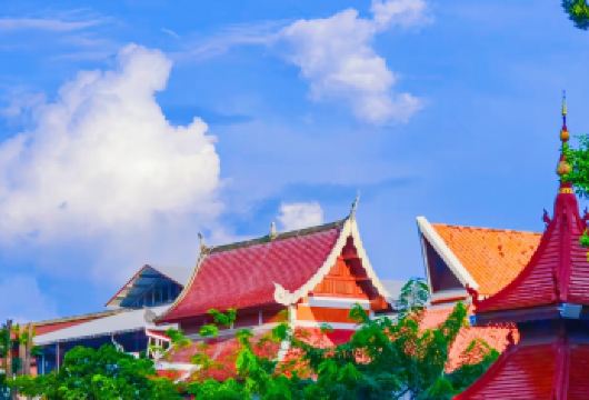 新年特惠-清迈古城半日游|可选嘟嘟车拼团|私家小团|寺庙之旅【[嘟嘟车拼车]酒店往返接送+中文导游服务+体验泰式风情嘟嘟车】