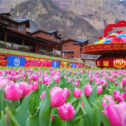 宝泉大峡谷+崖天下景区一日游【开封/郑州出发，含游玩套票】