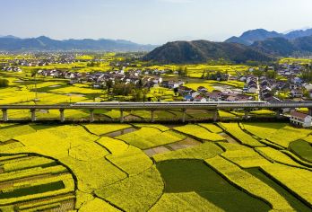 汉中油菜花高铁一日游-不请假-10点高铁站集合-18点送高铁【10点高铁站集合，18点送高铁，天天发团，深度油菜花体验一日游】