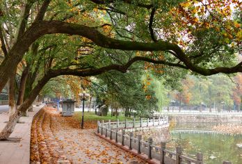 黄鹤楼+省博物馆+东湖+晴川阁+汉口江滩 导游翻译景点可调G【全程中文/英文/俄语/小语种服务，沟通无障碍，景点可调】