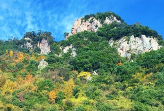宁波溪口一日活动【雪窦山弥勒佛+蒋氏故居 含往返车 可含中餐】【奉化溪口一天：雪窦山+蒋氏故居一日游，人文与自然景观相结合】