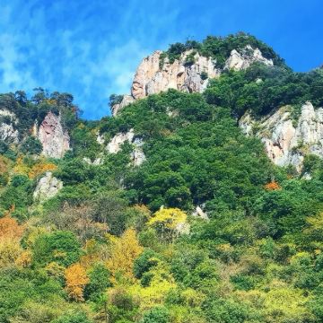 宁波溪口一日活动【雪窦山弥勒佛+蒋氏故居 含往返车 可含中餐】