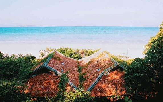 野生海滩度假村-官方
