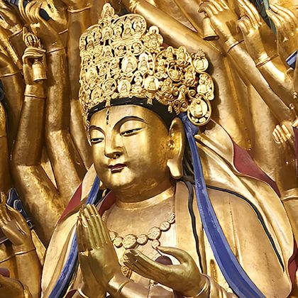 重庆大足石刻一日游【2-13人小团丨上门接送丨真纯玩】