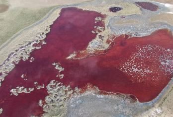 腾格里沙漠五湖穿越宁夏银川乌兰湖+吉他湖+天鹅湖等一日游【一价全含畅玩五湖】