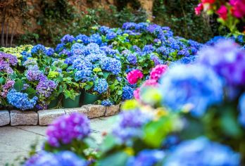 无锡灵山大佛+禅意小镇·拈花湾一日游【苏州出发&甄选纯玩】【[精选纯玩]：5A精选畅游，本地导游贴心安排，气氛之旅，没有噱头，臻纯玩，不进请香店， 醉美景！】