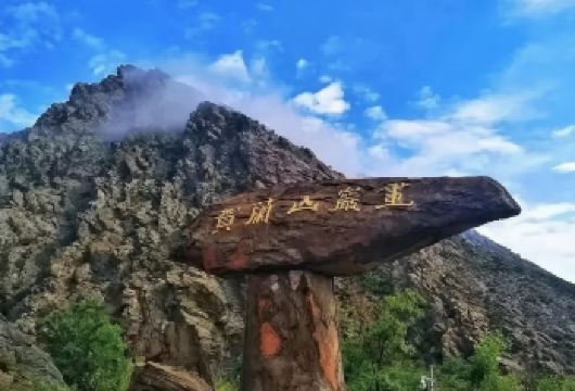 镇北堡西部影城+贺兰山岩画+西夏陵一日游【热门推荐】【影视城：中国西部电影的诞生地，在这里您可以化身经典角色，漫步《大话西游》等经典影片取景地。】