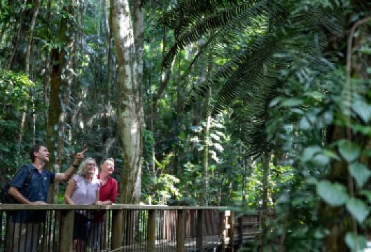 【深度游】凯恩斯丹翠雨林+苦难角+茅斯曼峡谷+鳄鱼游船一日游【英文司机兼导游全程陪同深度打卡景点】