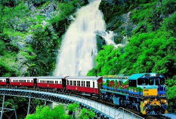 【酷牛晚餐/抱考拉可选】库兰达热带雨林公园＋雨林小镇一日游【[中文团下单福利-1]赠当日送机服务，中文司导服务省心省力】