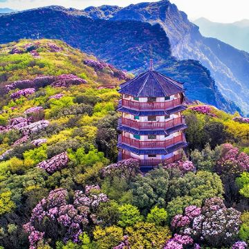 重庆金佛山一日游【纯玩无购物 | 门票一价全含 | 上门接】