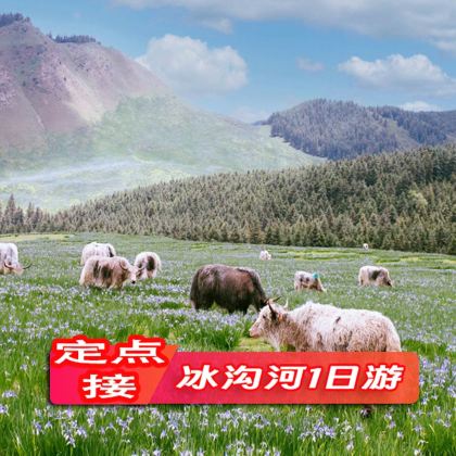 武威冰沟河半日游|含门票+保险/打卡祁连秘境/13点出发