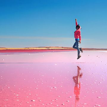 阿德莱德澎湃粉红湖+奔富玛吉尔酒庄+回音壁一日游【酒店接送】