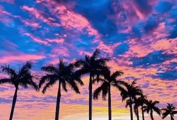 孙中山故居+淇澳岛+圆明新园+珠海渔女+情侣路一日活动@私家团【丨观览珠海浪漫之都丨漫步沙滩享受惬意时光丨】