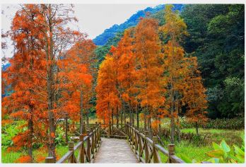 私家团+上门接送从化石门森林公园+南平静修小镇避暑溯溪一天游【私家旅行：一单一团，不拼客，专属旅行 品质服务：5座/7座车上门接送，专职司机护航】