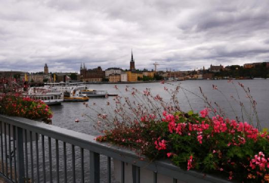 瑞典+斯德哥尔摩大教堂+皇后岛宫一日游/行程可调-可定制多日【包车一日游，解锁旅行新方式！独立车辆配备经验丰富的老司机，为您量身打造专属行程。】