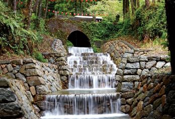 阿里山国家森林游乐区一日游【台中/嘉义/高雄出发】【探索阿里山，欣赏连绵山峦与云雾交织的壮丽自然美景】